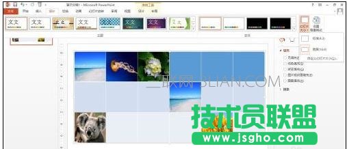 ppt版式設(shè)置教程