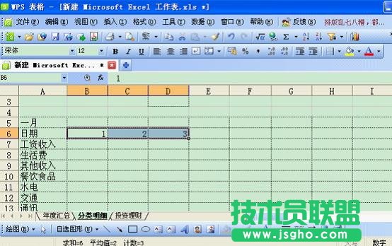 WPS表格打造個性化記賬本教程