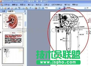 ppt無(wú)法顯示圖像如何處理