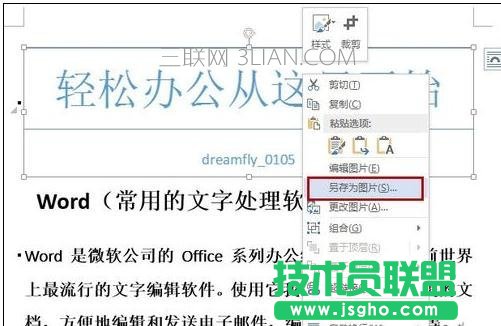 如何把word文字轉(zhuǎn)成圖片
