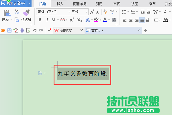 WPS文字如何設置字符底紋