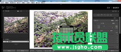 lightroom白平衡怎么調(diào)整？   三聯(lián)