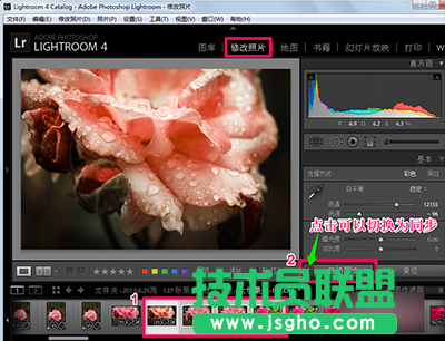 Lightroom怎么批量處理？  三聯(lián)