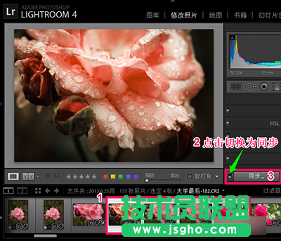 Lightroom