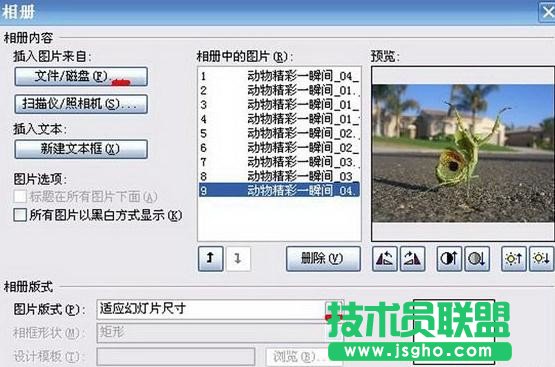 PowerPoint如何制作電子相冊(cè)