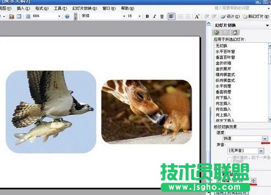 PowerPoint如何制作電子相冊(cè)