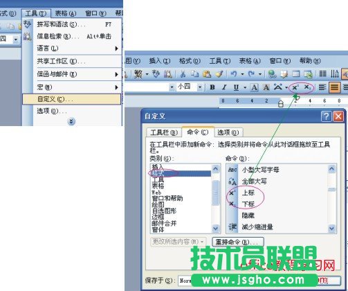 自定義上下標(biāo)