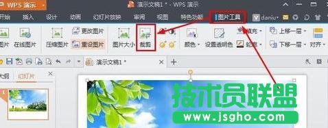 wps演示如何對圖片進(jìn)行裁剪