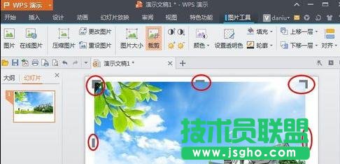wps演示如何對圖片進(jìn)行裁剪