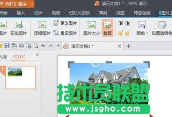 wps演示如何對圖片進(jìn)行裁剪