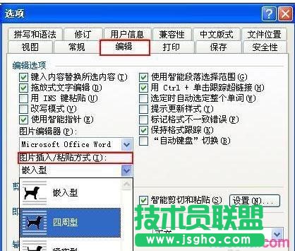 Word2013怎么設置圖片環(huán)繞