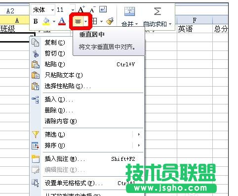 wps表格怎樣制作成績(jī)表