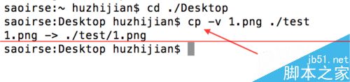 9條Linux簡(jiǎn)單又實(shí)用的指令介紹
