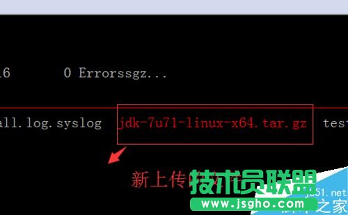 linux系統(tǒng)怎么用SecureCRT上傳和下載文件？