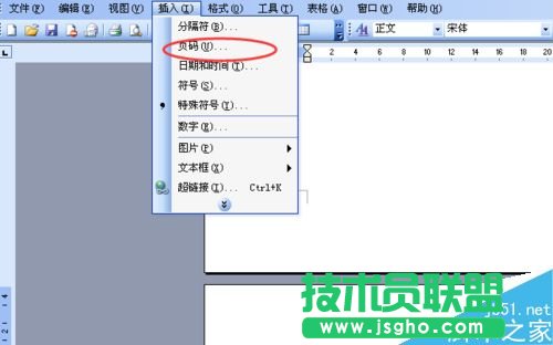 word文檔怎么標(biāo)注頁碼呢?    三聯(lián)