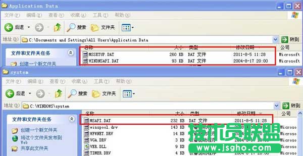 MSAPI.DAT，WINDNSAPI.DAT是什么文件