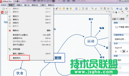 XMind思維導(dǎo)圖軟件界面語言怎么更改？ 三聯(lián)