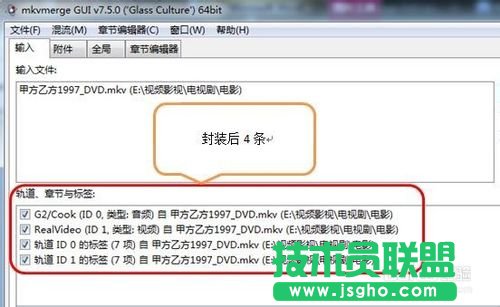 怎樣用MKVToolNix封裝后多出兩個(gè)軌道標(biāo)簽的問(wèn)題的詳細(xì)解答