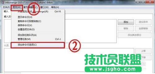 怎樣用MKVToolNix封裝后多出兩個(gè)軌道標(biāo)簽的問(wèn)題的詳細(xì)解答