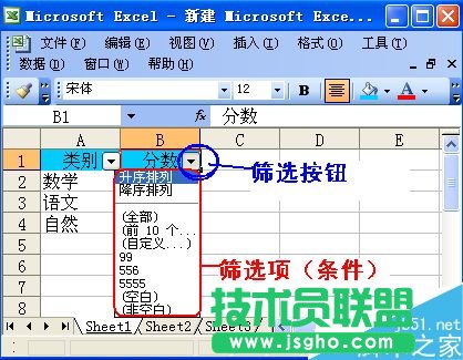 excel怎么篩選?