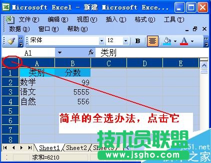 excel怎么篩選?