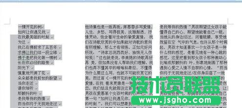 word2007文檔如何進行排版