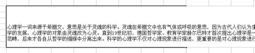 excel表格中如何編輯一大段文字?