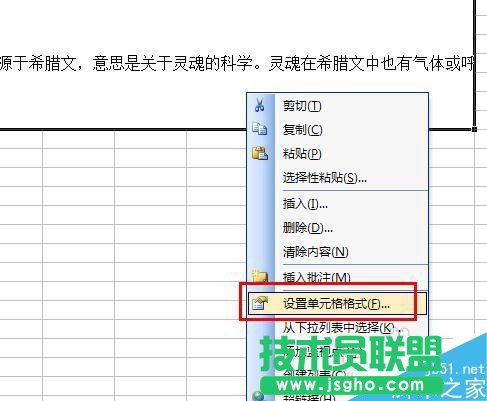 excel表格中如何編輯一大段文字?