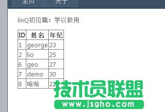 什么是linq技術(shù)？