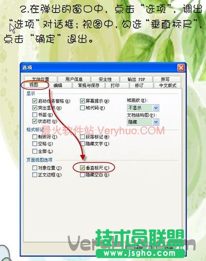 在彈出的窗口中，點(diǎn)擊‘選項(xiàng)’，調(diào)出‘選項(xiàng)’對(duì)話框，視圖中，勾選‘垂直標(biāo)尺’，點(diǎn)擊確定退出。