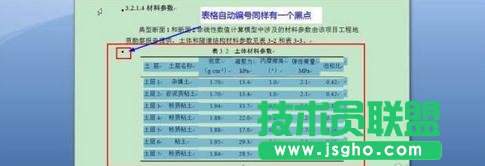 Word2013如何自動(dòng)編號(hào)