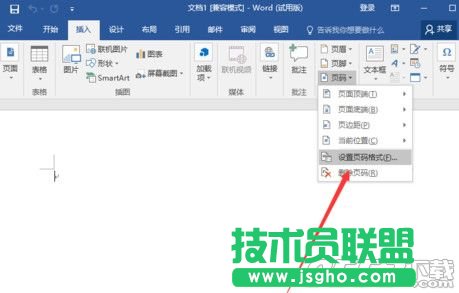 word2016怎么設(shè)置頁(yè)碼 word2016設(shè)置頁(yè)碼教程