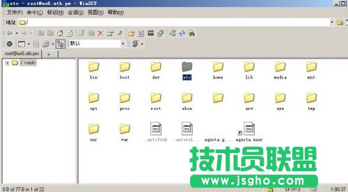 在LinuxVPS下架設Minecraft服務器