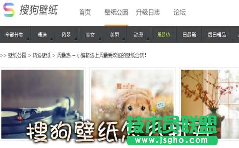 搜狗壁紙?jiān)趺创蜷_