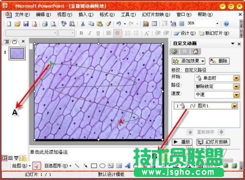 用PowerPoint輕松制作顯微鏡動(dòng)畫特效