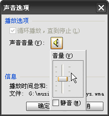 玩轉(zhuǎn)WPS演示中的插入背景音樂(lè)功能