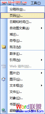 Word2003文檔如何添加頁(yè)碼 三聯(lián)