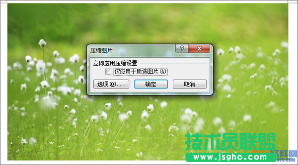 Word如何對文檔中圖片進(jìn)行壓縮處理